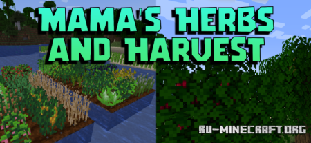 ������� Mama�s Herbs And Harvest ��� Minecraft 1.21.11