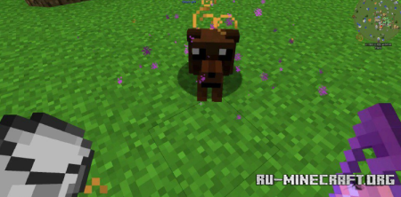 ������� CleanView ��� Minecraft 1.21.11