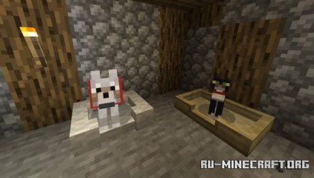 ������� ������ ��� �������� ��� Minecraft PE 1.21