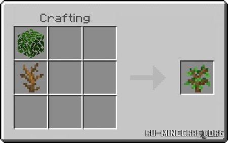 ������� ����������� ��������� ��� Minecraft PE 1.21