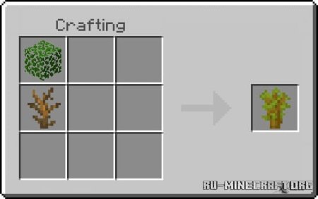 ������� ����������� ��������� ��� Minecraft PE 1.21