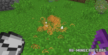 ������� CleanView ��� Minecraft 1.21.11