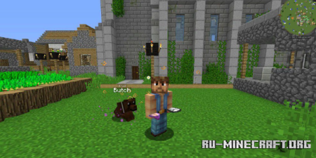 ������� CleanView ��� Minecraft 1.21.11