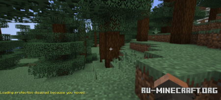 ������� Loading Protection ��� Minecraft 1.20.1