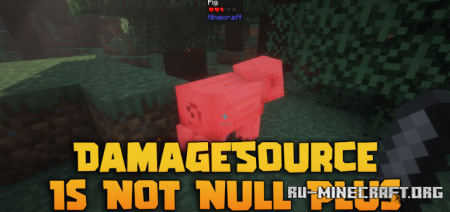 ������� Damagesource is Not Null ��� Minecraft 1.21.1