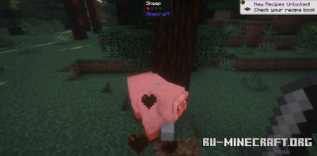 ������� Damagesource is Not Null ��� Minecraft 1.21.1