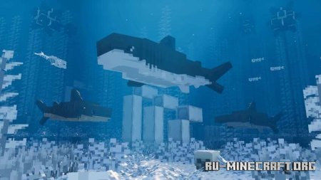 ������� ���������� ���������� ���� ��� Minecraft PE 1.21