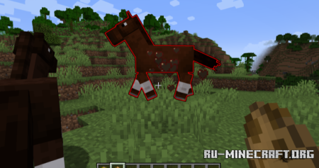 ������� NoHurtFlash ��� Minecraft 1.20.1