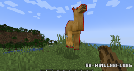������� NoHurtFlash ��� Minecraft 1.20.1