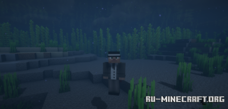 ������� Water Vision ��� Minecraft 26.1.2