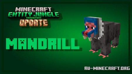 ������� ������������� ������� ��� Minecraft PE 1.21