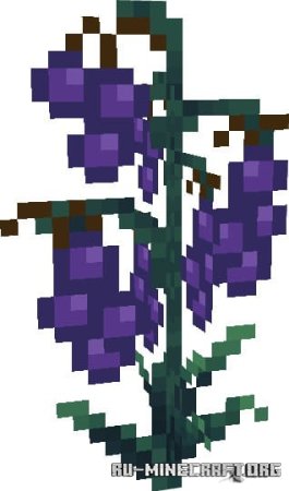 ������� ������������� ����� ��� Minecraft PE 1.21
