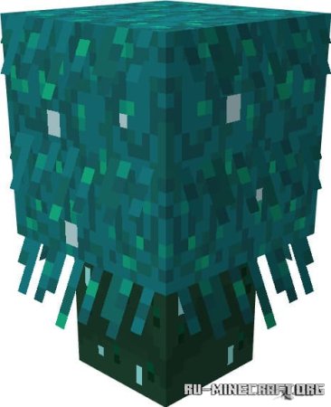 ������� ������������� ����� ��� Minecraft PE 1.21