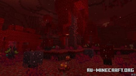 ������� ������������� ����� ��� Minecraft PE 1.21
