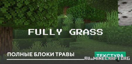 ������� ������ ����� ����� ��� Minecraft PE 1.21