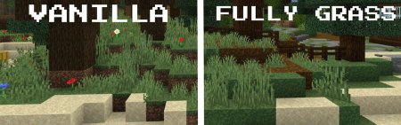 ������� ������ ����� ����� ��� Minecraft PE 1.21