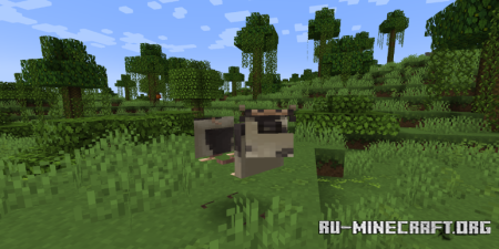 ������� Modern Mizuno�s ��� Minecraft 26.1
