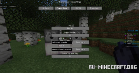 ������� Donutsmp Gamble Rigger ��� Minecraft 1.21.11