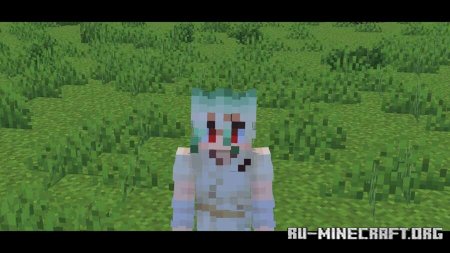 ������� ������� ����������� ��� Minecraft PE 1.21