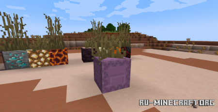 ������� Placeable Plants ��� Minecraft 1.21.11