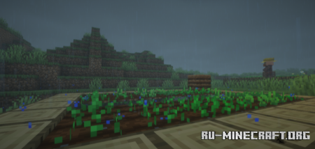 ������� Cool Rain Reforged ��� Minecraft 26.1.2