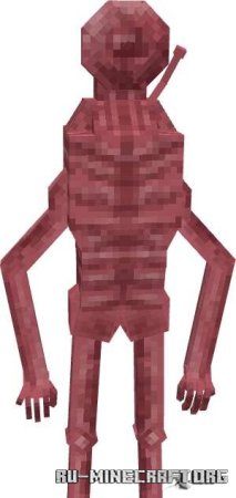 ������� ��������� �������� ������� ���������� ��� Minecraft PE 1.21