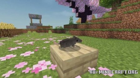 ������� ���������� �� Nico ��� Minecraft PE 1.20