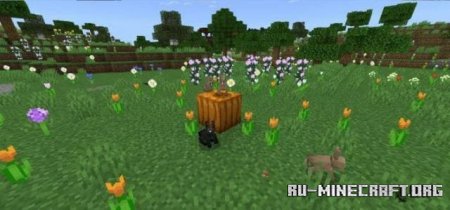 ������� ������� � ����� ����� ��� Minecraft PE 26.3