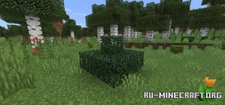 ������� ������� � ����� ����� ��� Minecraft PE 26.3