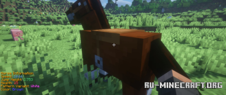 ������� Animal Info ��� Minecraft 26.1.2