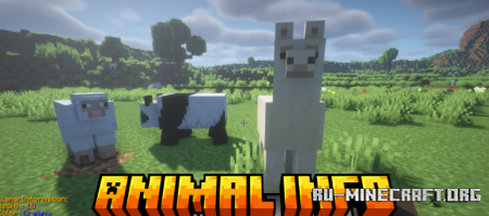 ������� Animal Info ��� Minecraft 26.1.2