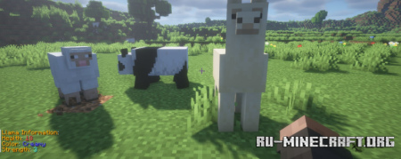 ������� Animal Info ��� Minecraft 26.1.2