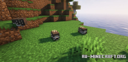 ������� Hedgehogs ��� Minecraft 1.20.4