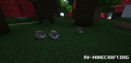 ������� Hedgehogs ��� Minecraft 1.20.4