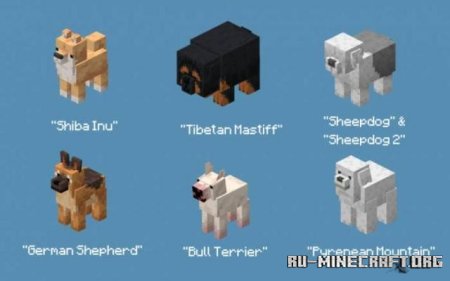 ������� ������ ����� ��� Minecraft PE 26.0