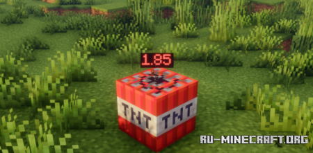 ������� Exploitation Timer ��� Minecraft 26.2