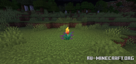 ������� Glowing Torchflower ��� Minecraft 26.2