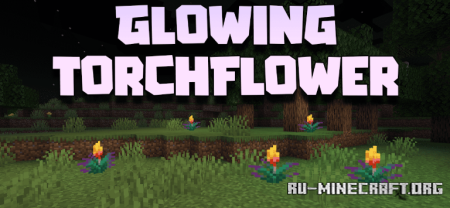 ������� Glowing Torchflower ��� Minecraft 26.2