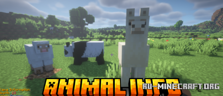 ������� Animal Info ��� Minecraft 26.2