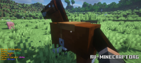 ������� Animal Info ��� Minecraft 26.2