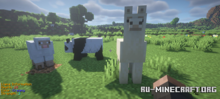 ������� Animal Info ��� Minecraft 26.2