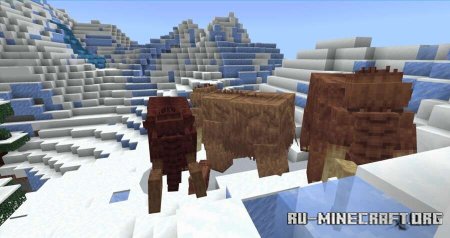������� ����� � ����� - ������� ��� Minecraft PE 26.10