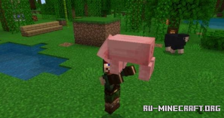 ������� �������� � ���� ��� Minecraft PE 26.30