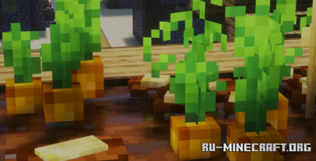 ������� Glamurous View by Off_garo ��� Minecraft 1.21