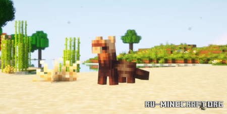 ������� Room for Two ��� Minecraft 26.2