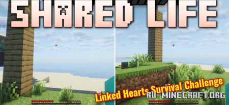 ������� Shared Life ��� Minecraft 26.2