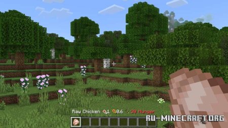 ������� ���������� ��������� ��� Minecraft PE 26.0