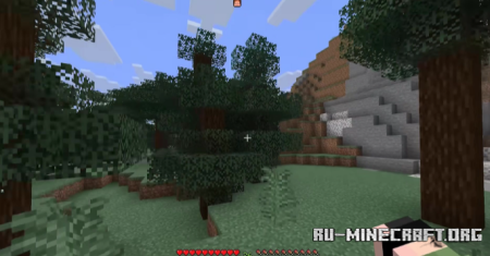 ������� Locator Border ��� Minecraft 26.1.2