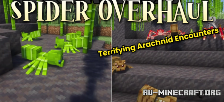 ������� Spider Overhaul ��� Minecraft 26.1.2
