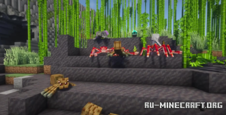 ������� Spider Overhaul ��� Minecraft 26.1.2